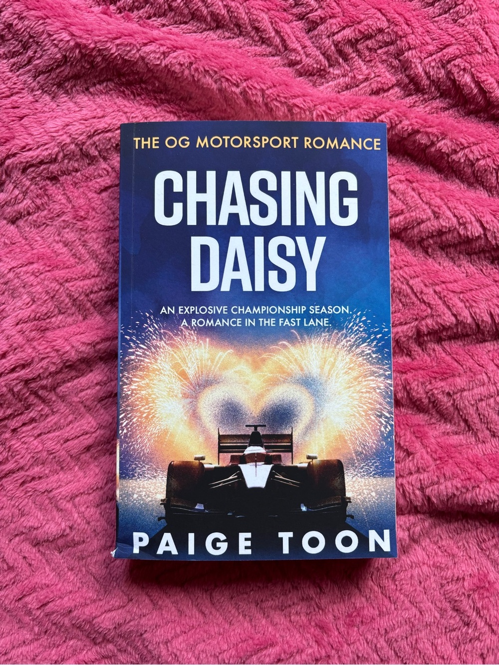 Chasing Daisy by Paige Toon - Slightly Damaged
